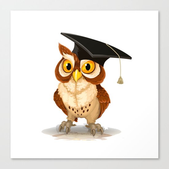Graduated OWL Canvas Print