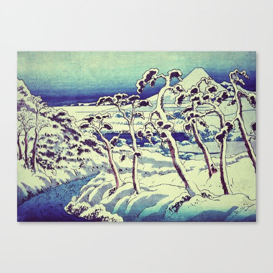 Path in the Snow Canvas Print
