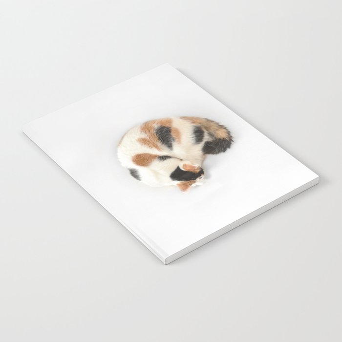 Sleeping Calico Cat Notebook