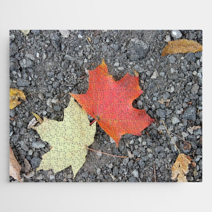 Colorful Duo of Maple Leaves Jigsaw Puzzle