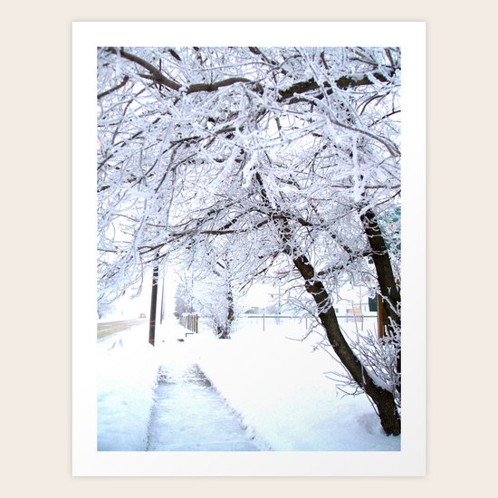 Glazed Art Print