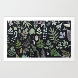 ferns + leaves Art Print