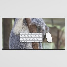 Sleeping Koala Desk Mat