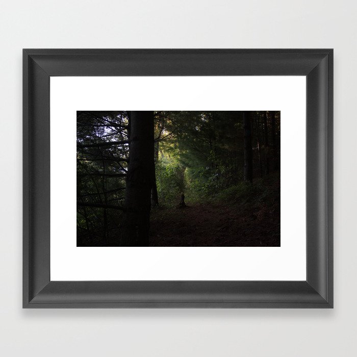 Magic in the Woods Framed Art Print