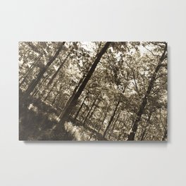 The Forest Metal Print | Photo, Nature, Landscape, Black and White 