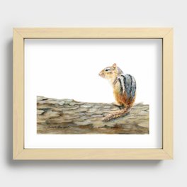 Little Chip - a painting of a Chipmunk by Teresa Thompson Recessed Framed Print