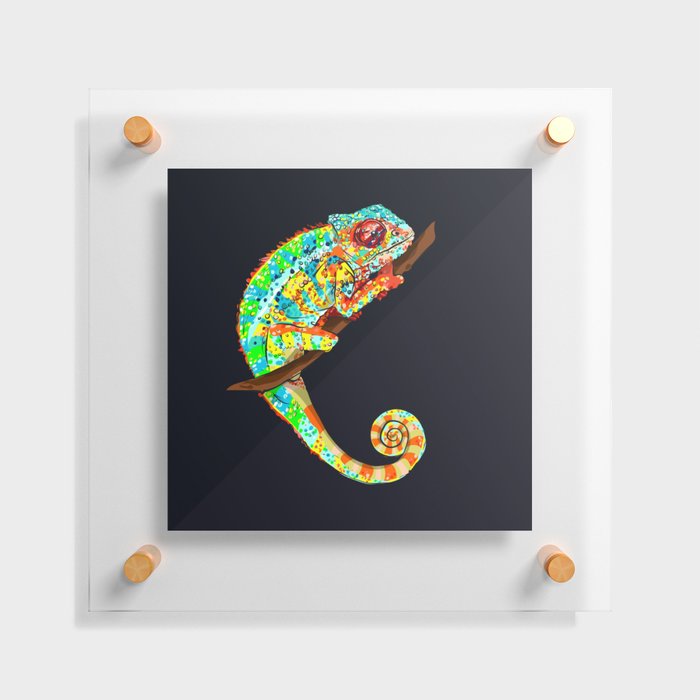 Color Changing Chameleon Floating Acrylic Print