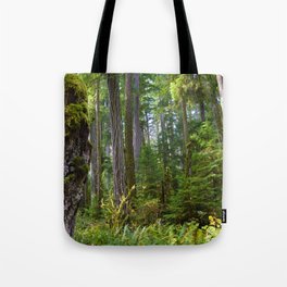 Cathedral Grove, Vancouver Island BC Tote Bag