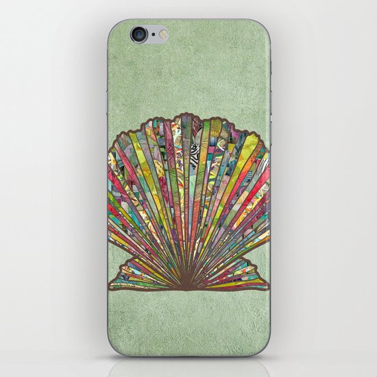 Sea Shell iPhone & iPod Skin