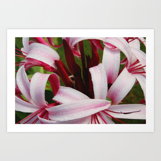 pura vida flowers Art Print