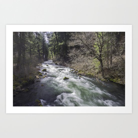 Through the Woods Art Print