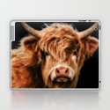 Highland Cow Art Print By Linsey Williams Wall Art