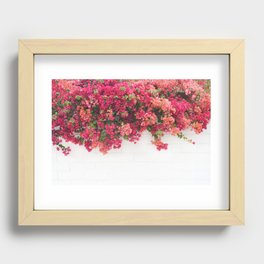bougainvillea wall Recessed Framed Print