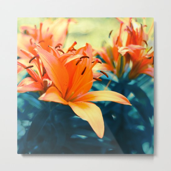 Summer Lilies I Metal Print