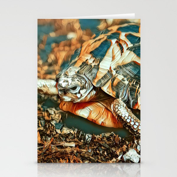 Eastern Box Turtle Stationery Cards