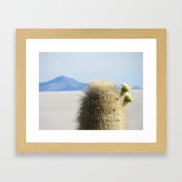 Cactus flower Framed Art Print