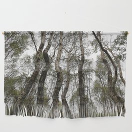 Birch Trees in Shade in the Scottish Highlands Wall Hanging