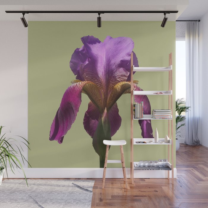one perfect blossom blooms forever Wall Mural