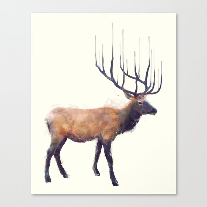 Elk // Reflect (Right) Canvas Print