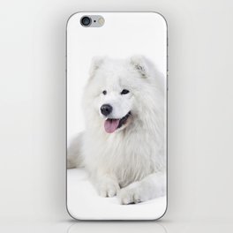Samoyed  dog iPhone Skin