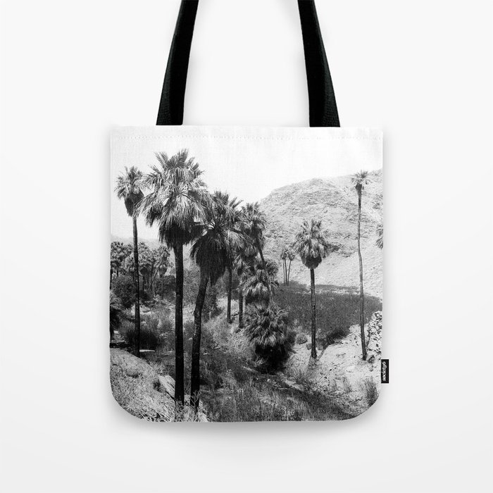 Palm Canyon near Palm Springs c.1901 Tote Bag