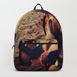 Fashion Camel Backpack | Photo, Travel, Colors, Desert, Color, Camel, Digital 