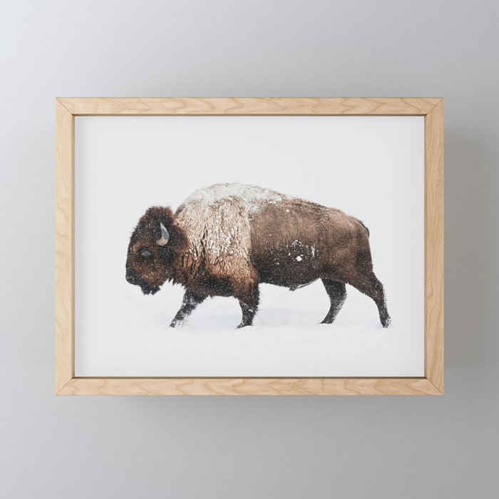 Bison Framed Mini Art Print