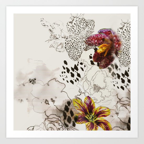 orchids Art Print