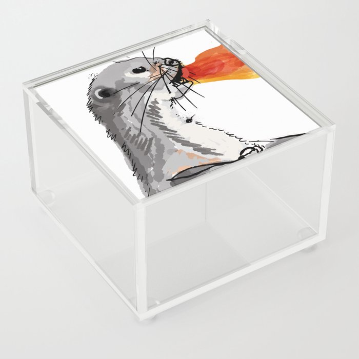 Fire Breathing Otter Acrylic Box
