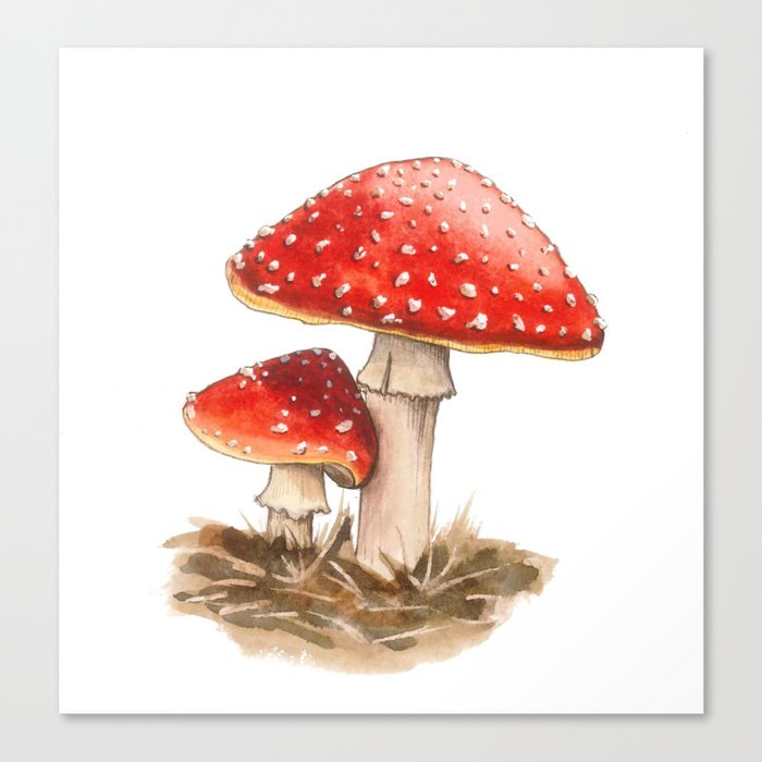 Fairy tale mushrooms Canvas Print