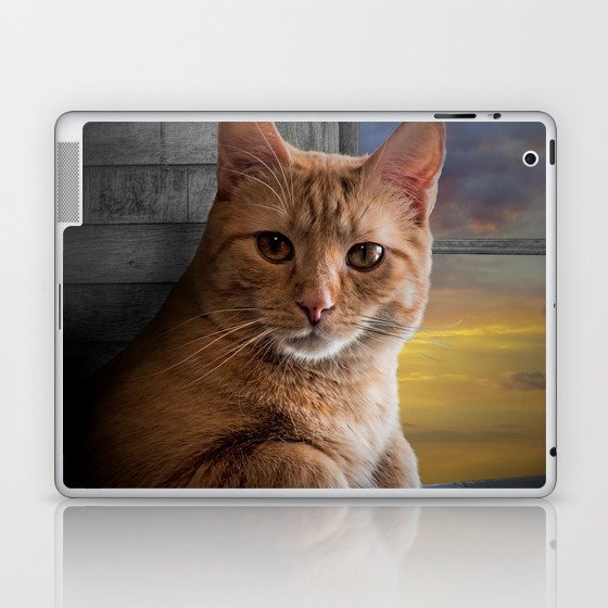 You looking at me, says the Cat Laptop & iPad Skin