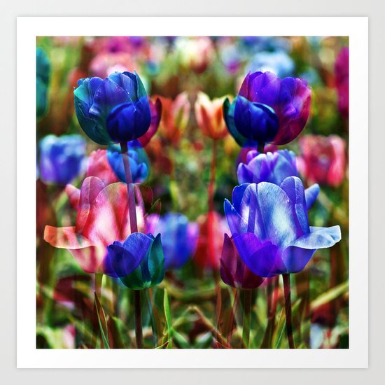 A Floral Dream of Spring Art Print