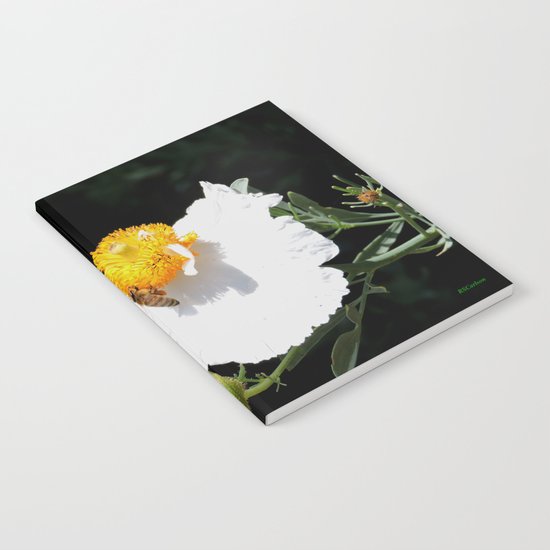 Matilija Poppy Notebook