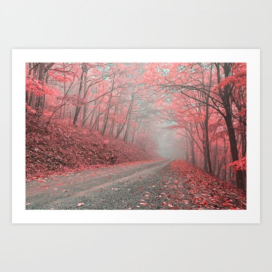 Misty Forest Road - Tickle Me Pink Art Print