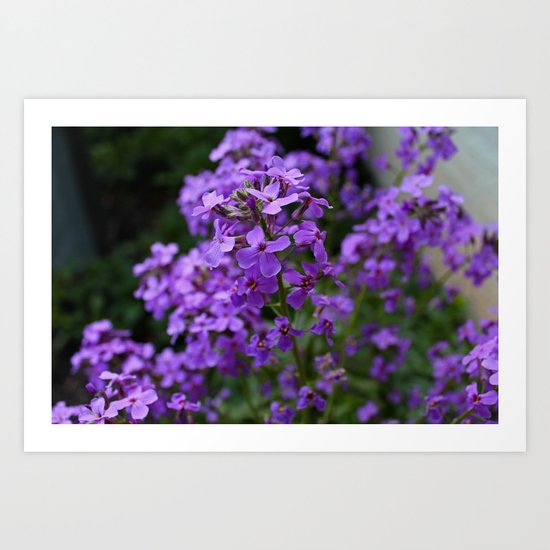 Young Memories Art Print