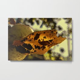 Leaf with Apple Metal Print