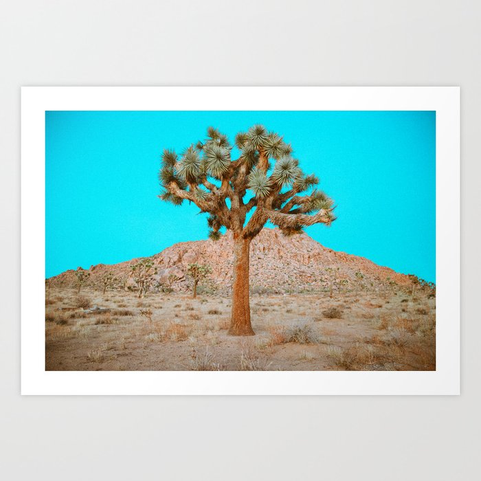 Queen of the Desert - Joshua Tree Art Print