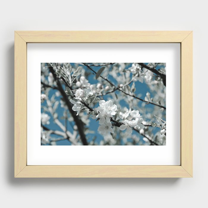 Almond Blossom Recessed Framed Print