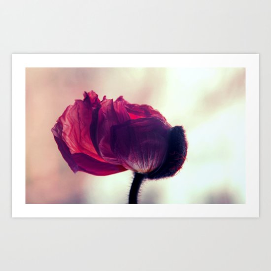 Fire Art Print