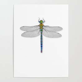 Dragonfly 2 Poster