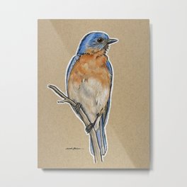 State Bird Series: Missouri - Eastern Bluebird Metal Print | Illustration, Nature, Animal 