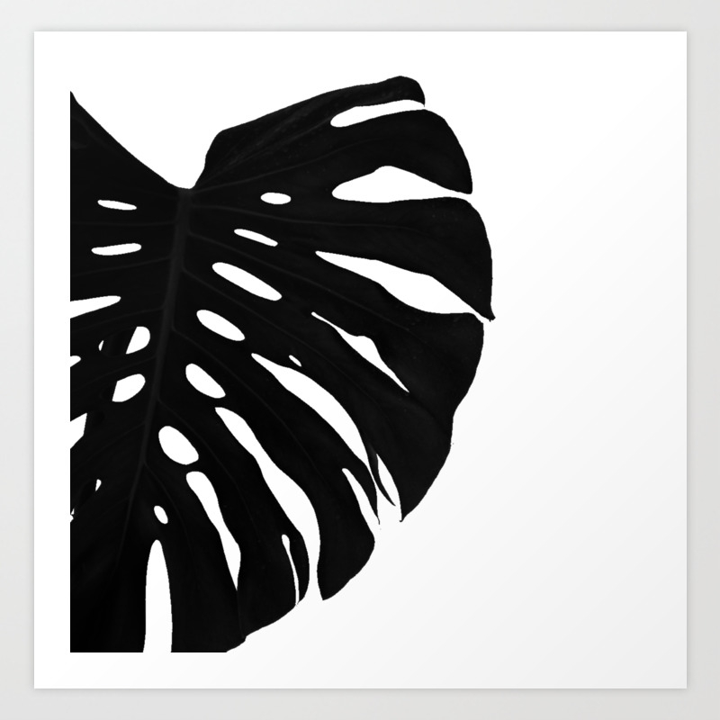 Black Banana Leaf Black And White Art Print By Nocolordesigns Society6