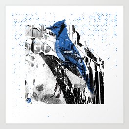 Urban Ornithology I Art Print