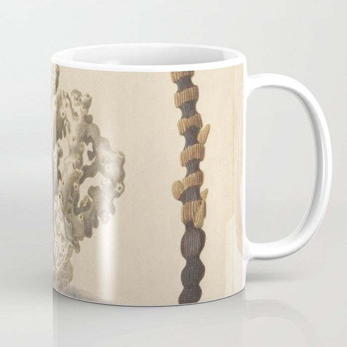 Naturalist Coral Coffee Mug