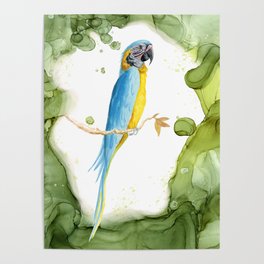 Yellow and Blue Parrot Watercolor Print - Large Macaw Bird Art Poster