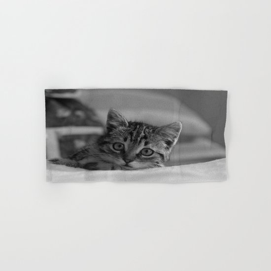 cat Hand & Bath Towel