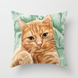 Soft and Purry Orange Tabby Cat Throw Pillow