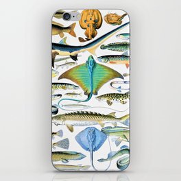 Adolphe Millot "Fishes" 2. iPhone Skin