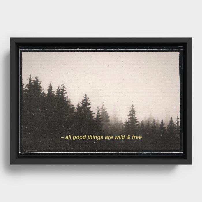 Framed Canvas