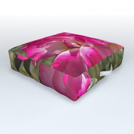 Beautiful Rainbow Sherbet Rose, Single Rose, Pink Flower Outdoor Floor Cushion